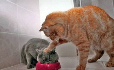 英媒:热刺与穆帅已谈判数日 得到承诺后才解雇波叔【JDB电子游戏官网】(图4) JDB电子