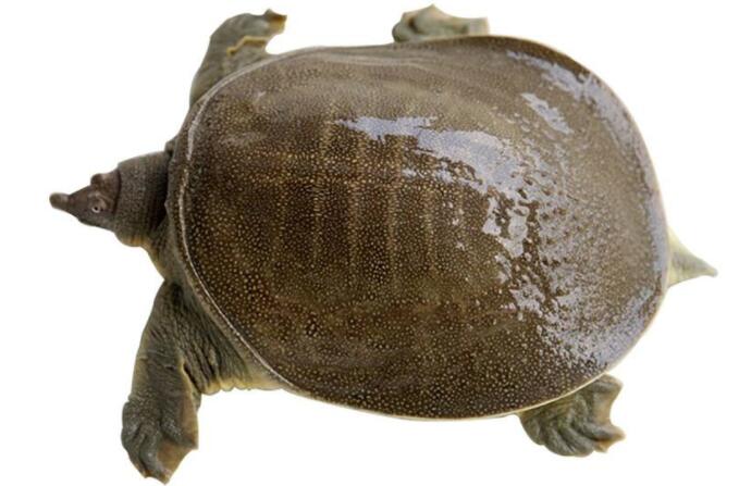 JDB电子试玩网页版|中国铝业广西分公司1月份创利近1.7亿(图1) JDB电子游戏官网