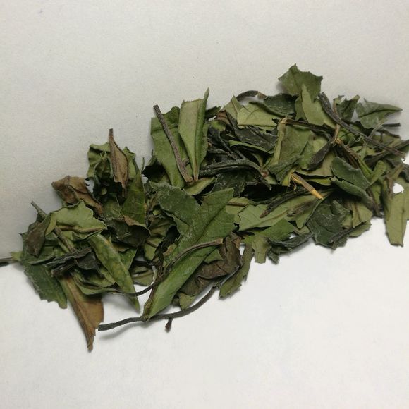 【JDB电子试玩网页版】曼联名宿:买曼朱还不如签回伊布 他可是更衣室教父(图1) JDB电子