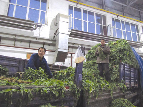 JDB电子游戏官网