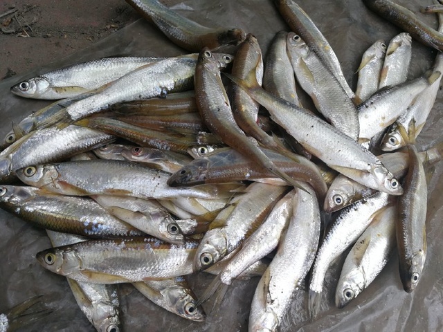 JDB电子-欧联16强已确定15队:曼联国米领衔 阿森纳爆冷出局(图2) JDB电子游戏官网