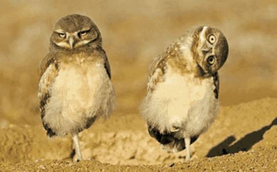 小贝力挺索帅:他让曼联走向正轨 继承了弗爵衣钵_JDB电子(图2) JDB电子试玩网页版