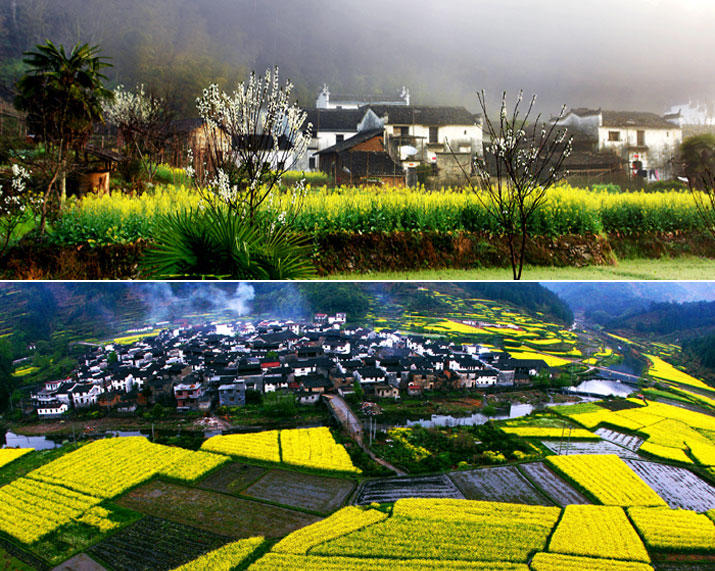 “JDB电子”专业社团助力应对雾霾(图2) JDB电子