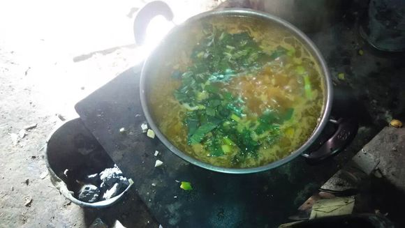 八成养老机构老无所“医”_政策法规_新闻_矿道网“JDB电子游戏官网”(图2) JDB电子试玩网页版