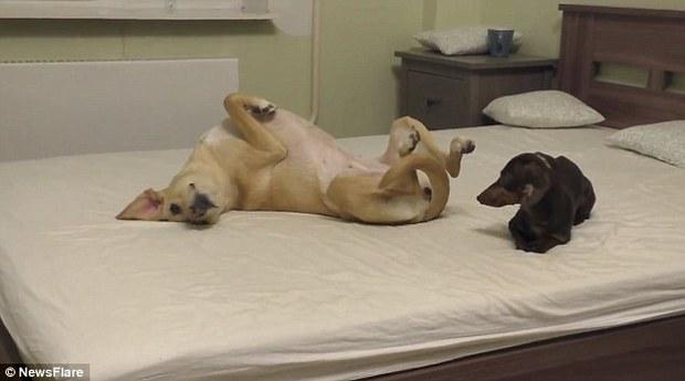 推进民生地质科技创新成果交流与转化:JDB电子试玩网页版(图2) JDB电子试玩网页版