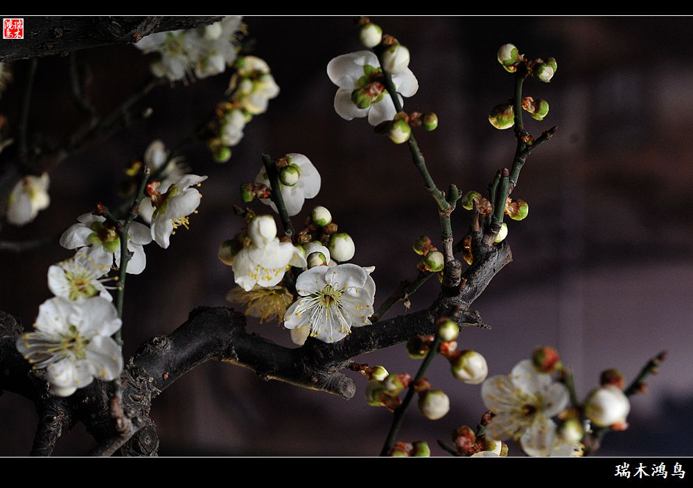 JDB电子:瓜帅遭到英足总的指控与处罚 穆帅曾经也被罚过(图1) JDB电子