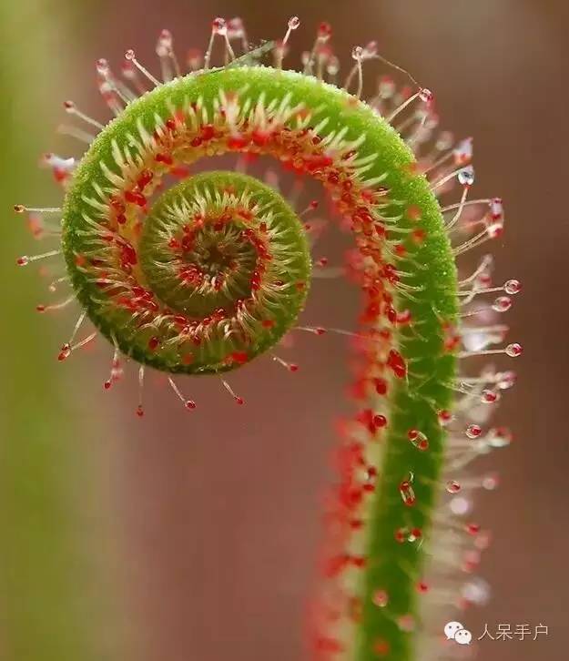 石家庄至2015年底将关闭金属非金属矿山逾20家_政策法规_新闻_矿道网_JDB电子试玩网页版(图2) JDB电子游戏官网