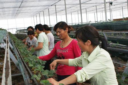 ‘JDB电子游戏官网’英超-悍将头槌锁胜局卡迪夫城1-0西布朗(图1) JDB电子试玩网页版