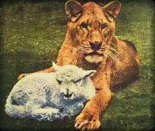 克洛普与妻子乌拉地中海度假 赤裸下身的金发女郎是谁?“JDB电子游戏官网”(图1) JDB电子试玩网页版