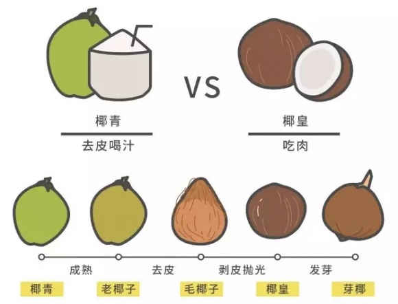 “JDB电子游戏官网”瓦尔迪未参加球队整体训练 出战瑞典可能性很小(图2) JDB电子