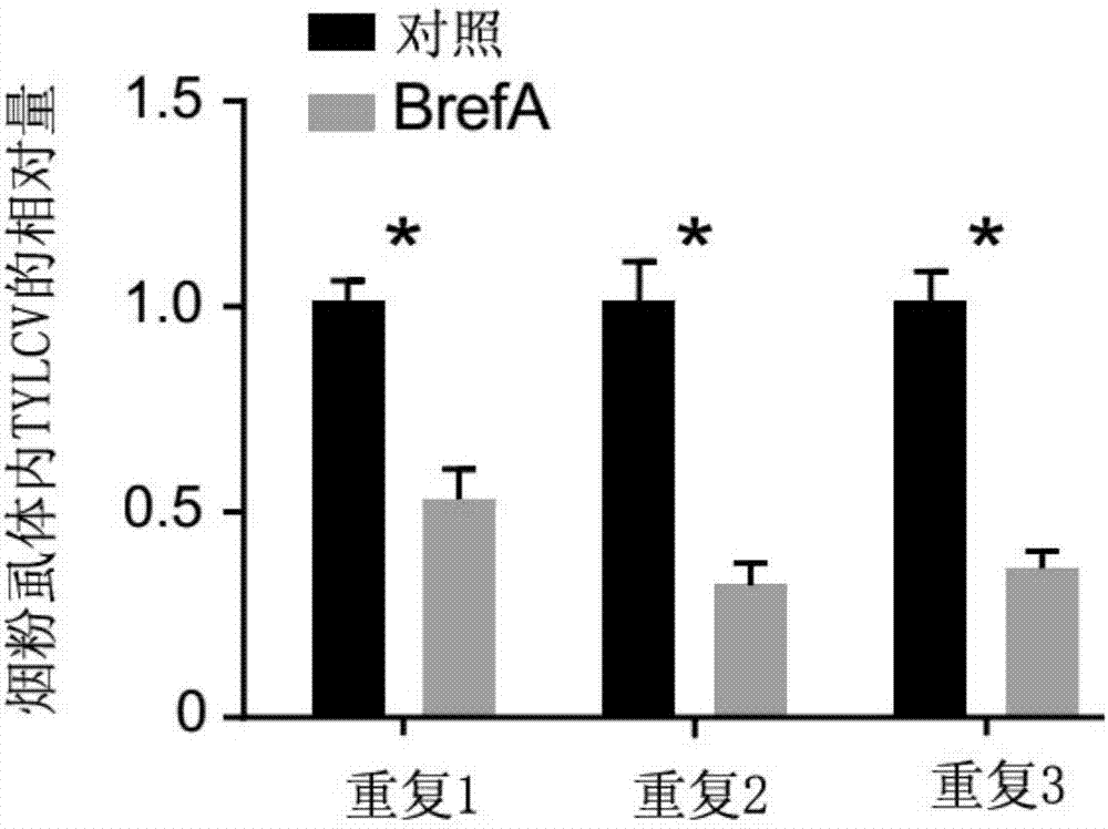 JDB电子试玩网页版