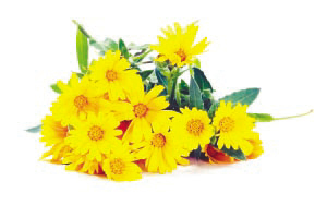 JDB电子-暖心之举,皇马给桑德兰轻伤球员寄信鼓舞(图3) JDB电子