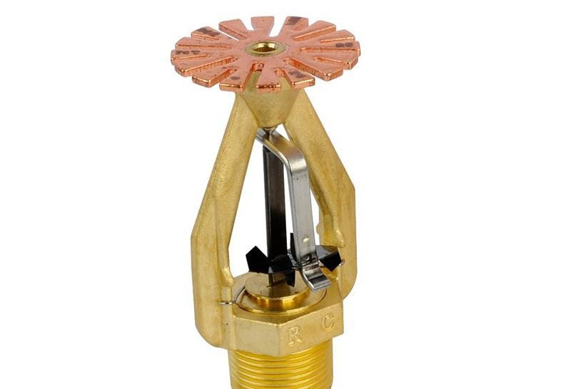 JDB电子试玩网页版|明星直播带货成营销利器 汽车营销也赶“潮流”(图3) JDB电子游戏官网