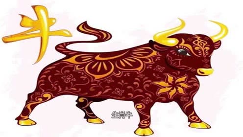 红烧狮子头这样做最经典 注意这点肉质细嫩鲜美 鲜味营养又解馋“JDB电子试玩网页版”(图1) JDB电子游戏官网