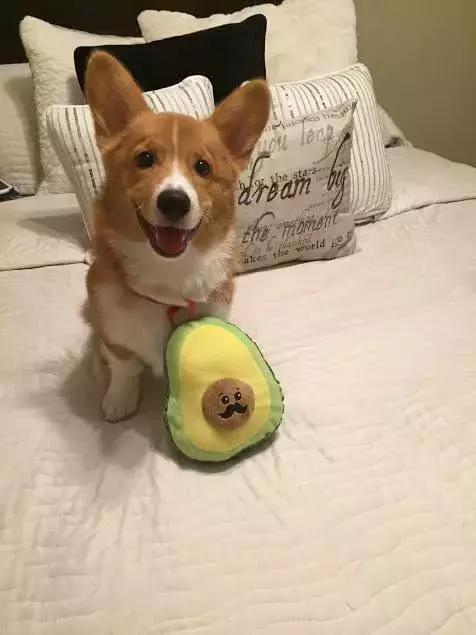 JDB电子游戏官网