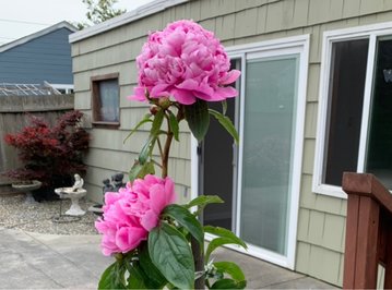 JDB电子游戏官网_
效率惊人!C罗2020年联赛进球世界第二 仅次于K联赛神人(图1) JDB电子游戏官网