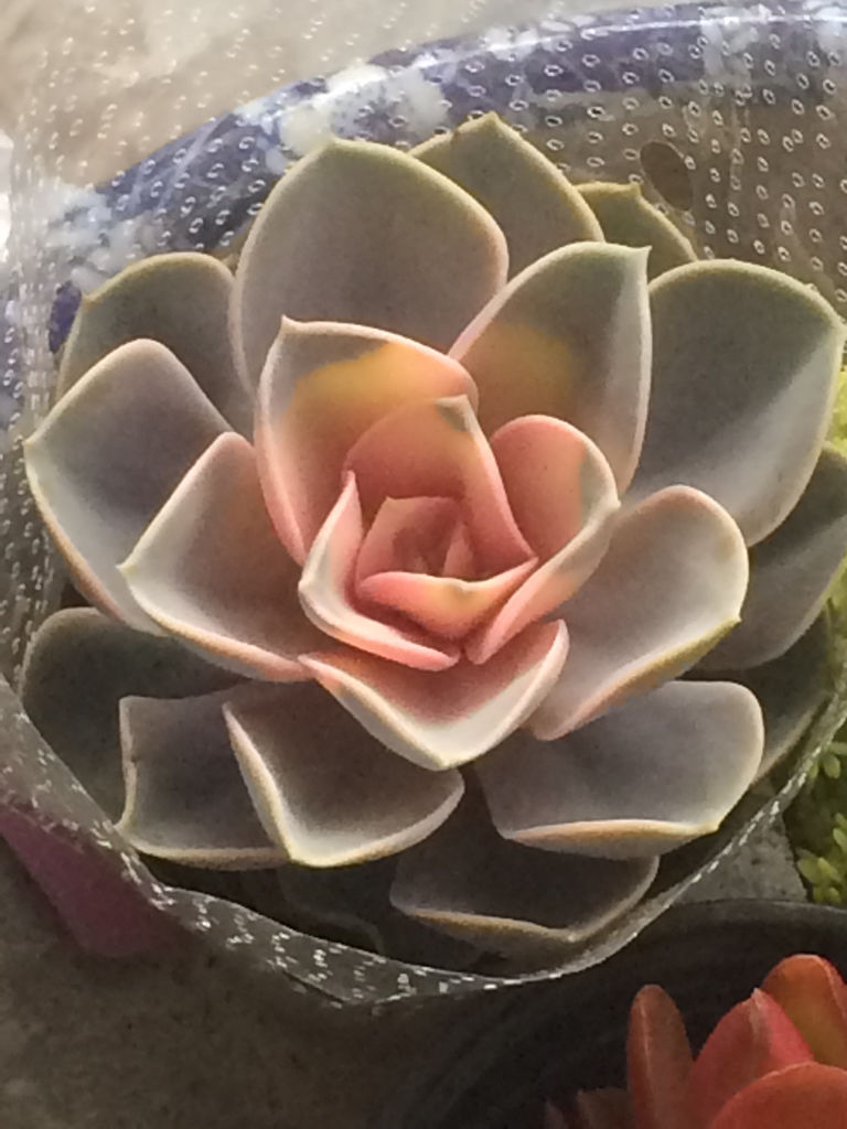 JDB电子游戏官网_
效率惊人!C罗2020年联赛进球世界第二 仅次于K联赛神人(图3) JDB电子游戏官网