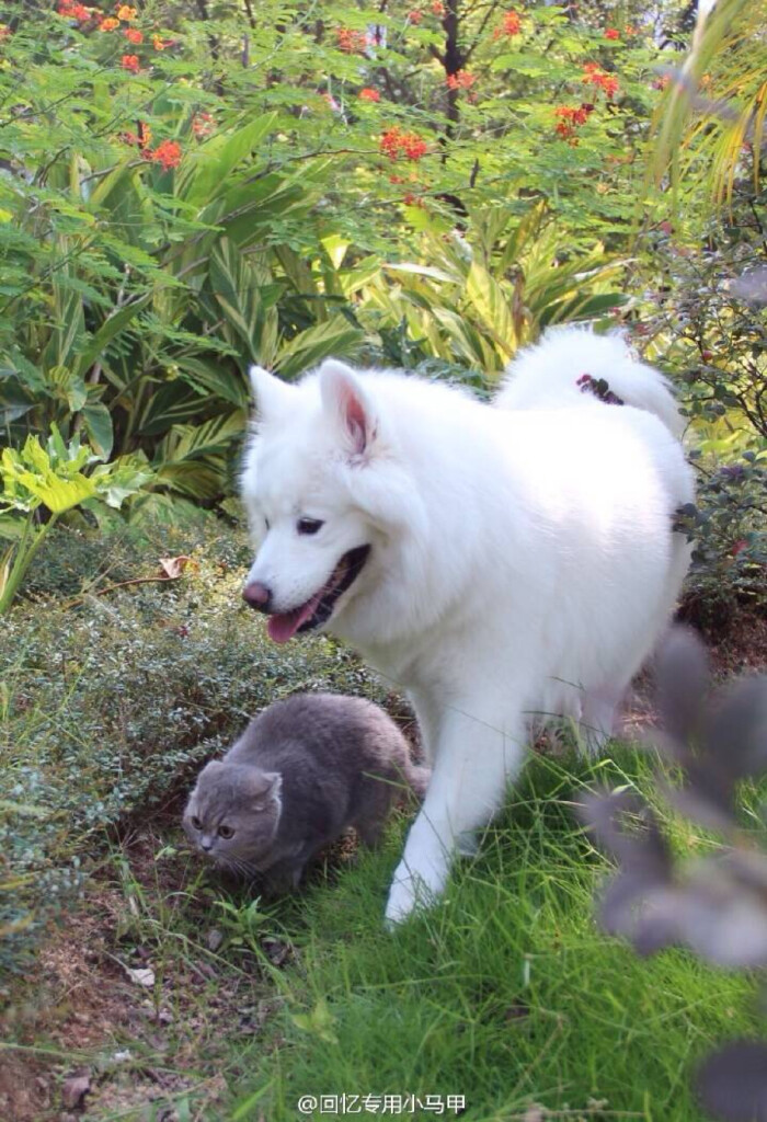 JDB电子:充电联盟:截至9月全国充电桩保有量111.5万台 换电站282座(图4) JDB电子游戏官网