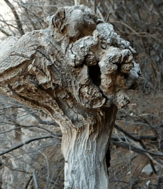 JDB电子游戏官网-不动产登记全面实行“一窗受理”_政策法规_新闻_矿道网(图1) JDB电子