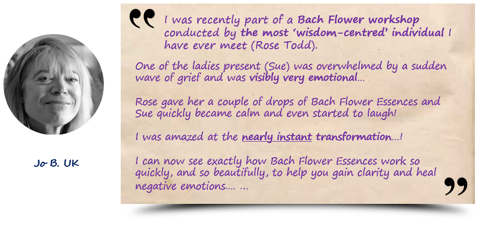 JDB电子游戏官网