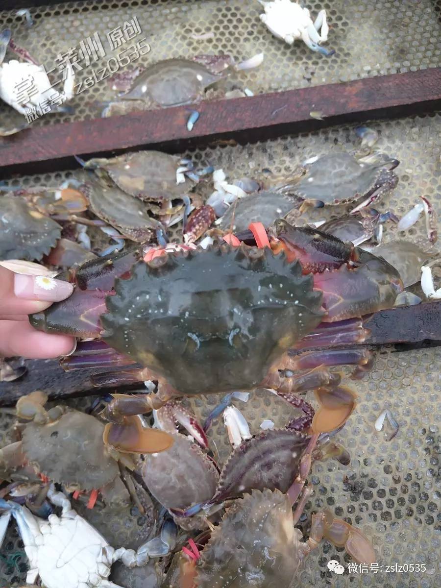 JDB电子游戏官网