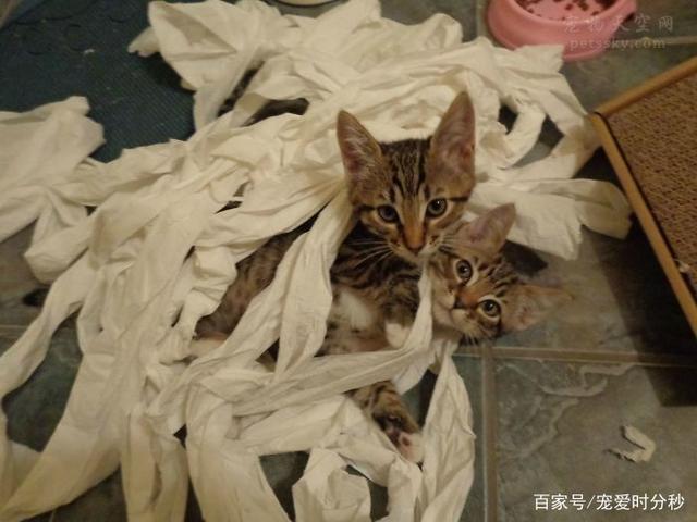 JDB电子游戏官网