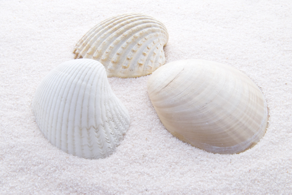 JDB电子游戏官网