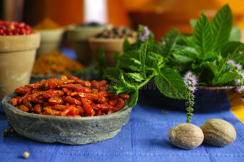 JDB电子游戏官网