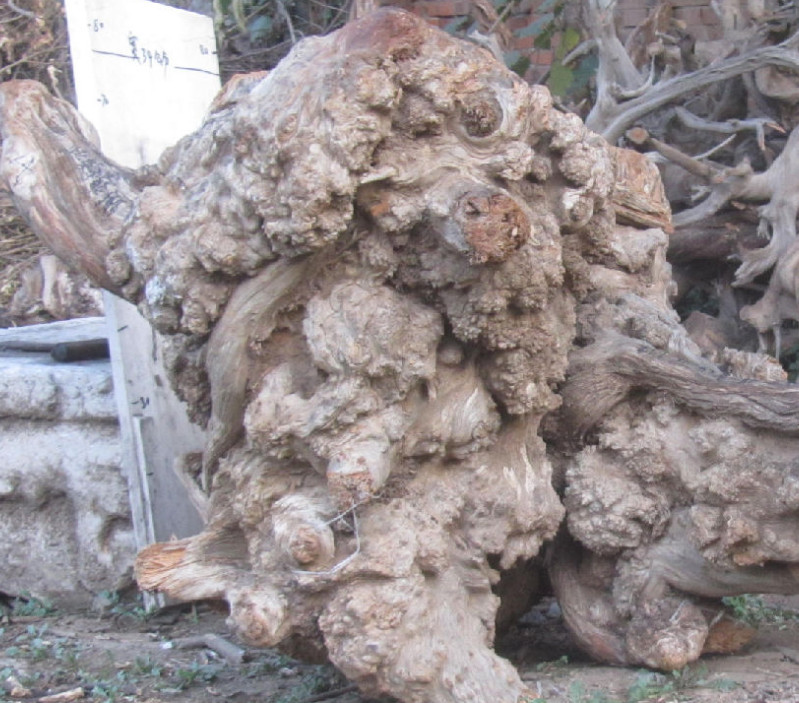 尤文将3500万欧元报价伊斯科 亦面临米兰和曼城竞争|JDB电子游戏官网(图1) JDB电子游戏官网