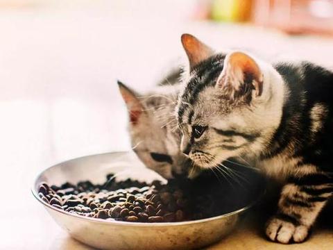 JDB电子游戏官网