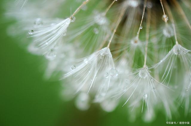 ‘JDB电子游戏官网’地大百余名学生志愿服务军运会帆船测试赛(图2) JDB电子游戏官网