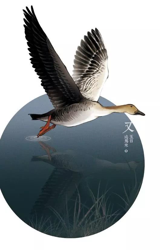 JDB电子游戏官网-有色金属集体飘红 沪铅收涨0.91%(图3) JDB电子