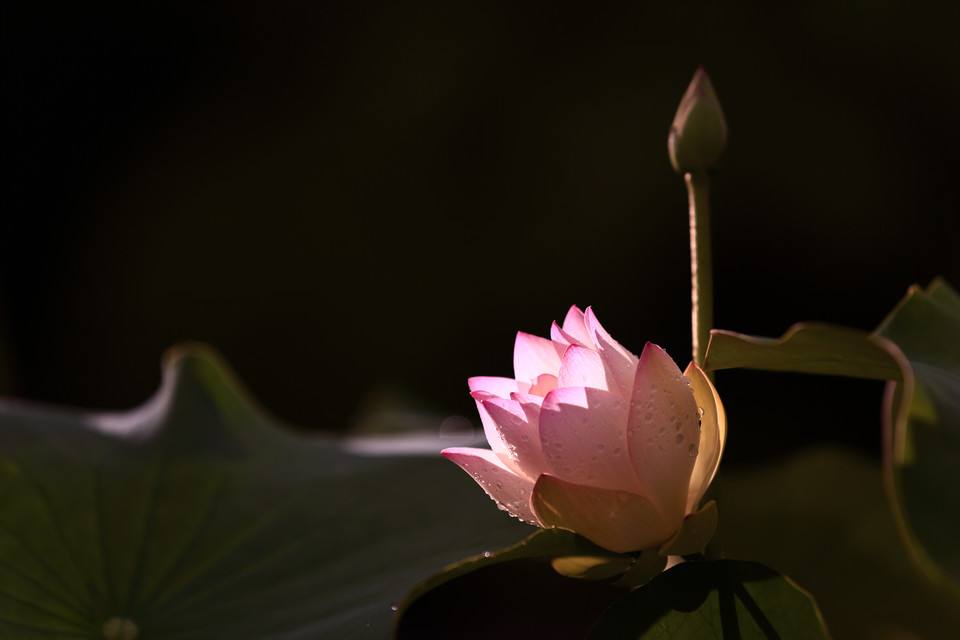 JDB电子-放弃了!姆巴佩烂泥扶不上强 砸再多钱也枉然(图1) JDB电子试玩网页版