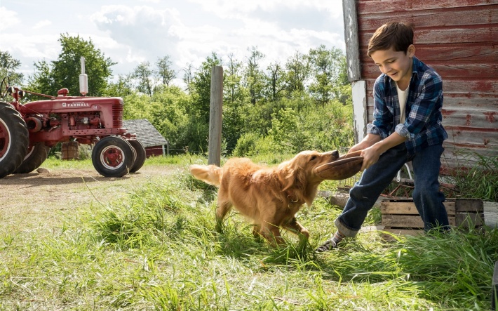 JDB电子试玩网页版