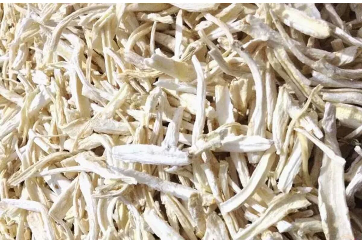 JDB电子游戏官网