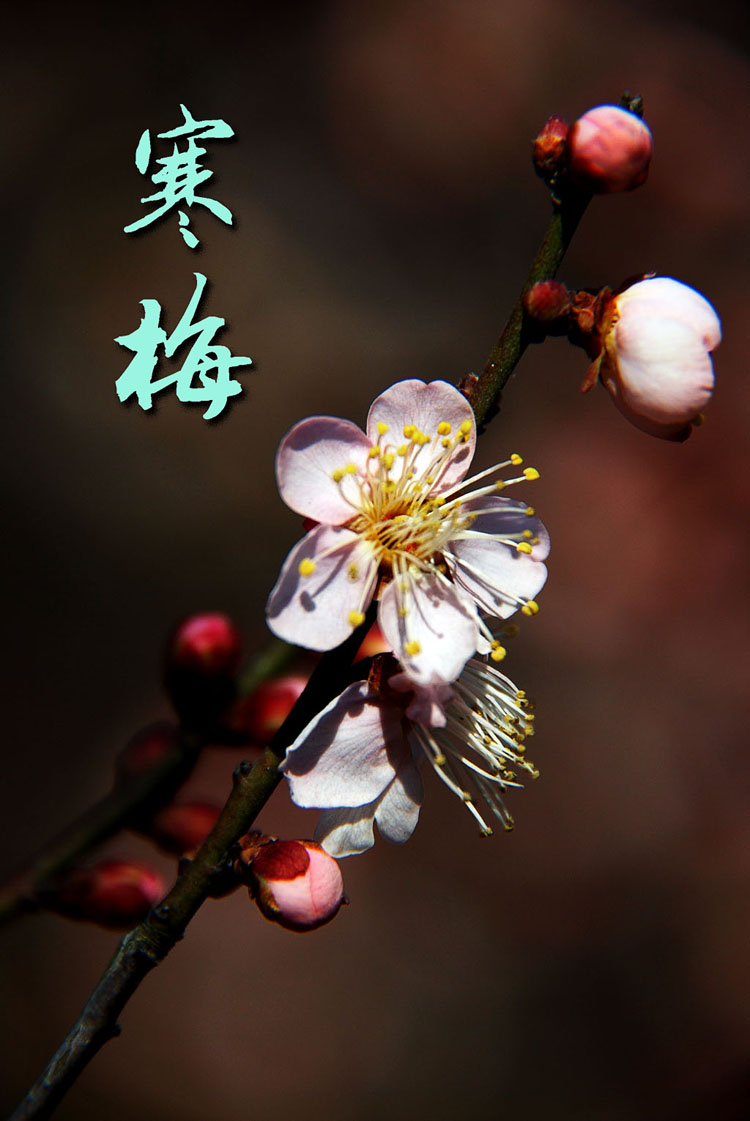 JDB电子试玩网页版