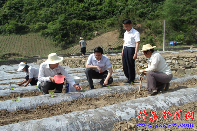 莫耶斯:球员需求向我证明才能和态度,否则就不会出场|JDB电子游戏官网(图2) JDB电子