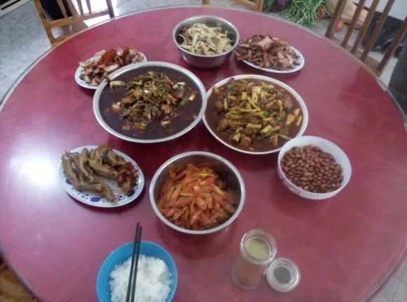 东方小蝾螈吃什么?饲养东方小蝾螈需提前准备什么?_JDB电子(图1) JDB电子